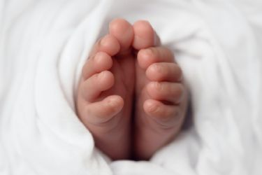 From Father's Hand through Birth - 2 week Zoom - Thursdays, May 1 & 8, 2025 - 10:00 am EST